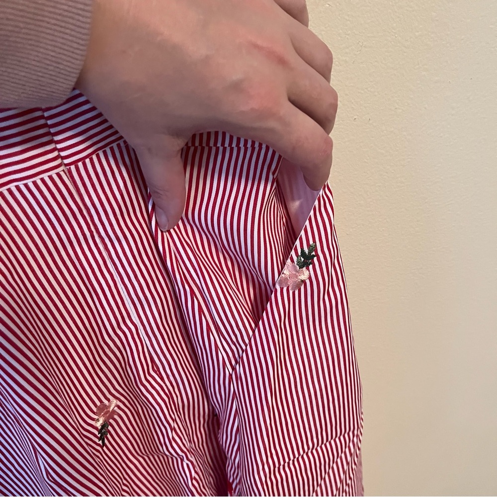 Skies Are Blue. ❤️🤍 Red & White Striped Embroidered Dress 🤍❤️ - Picture 5 of 6